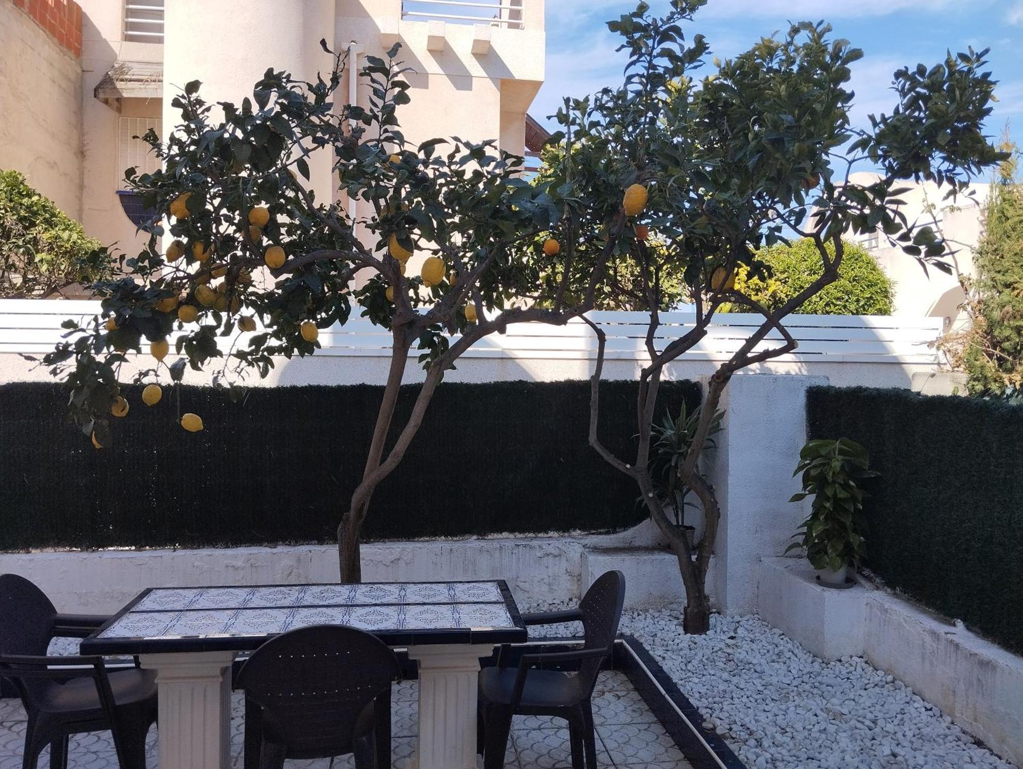 Z&R - Alcyone Villa Τορεβιέχα Εξωτερικό φωτογραφία